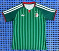 Algeria 26-27 World Cup Jersey
