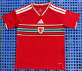 Wales 26-27 World Cup Jersey