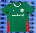 Palmeiras 26-27 Jersey